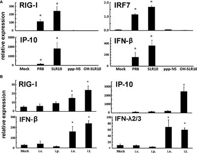 RIG-I agonist SLR10 promotes macrophage M1 polarization during influenza virus infection